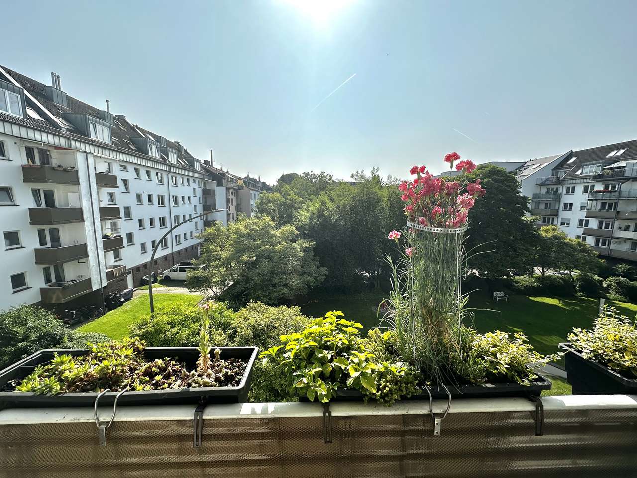 Ausblick Ausblick
